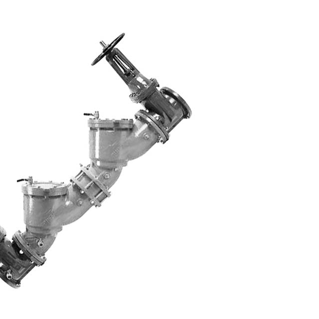 Backflow Preventers (RPZ)